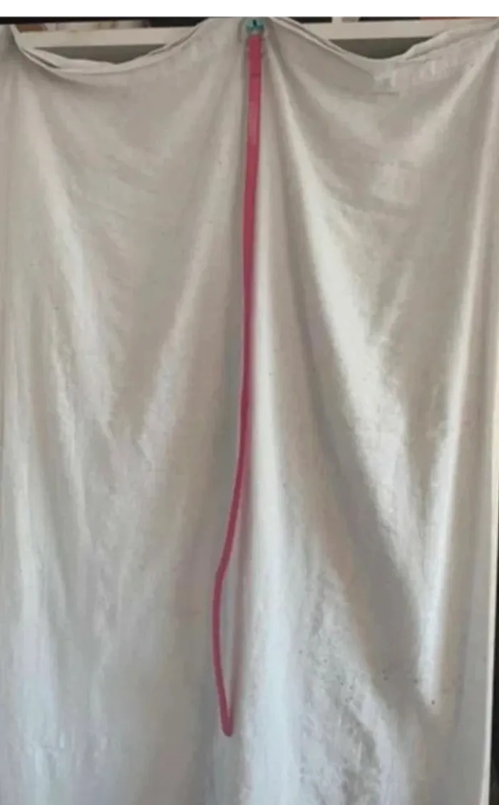 Ceinture - photo numéro 2