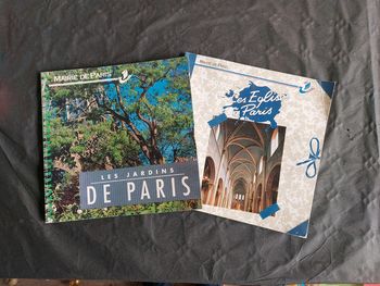 Lot de deux livres Paris