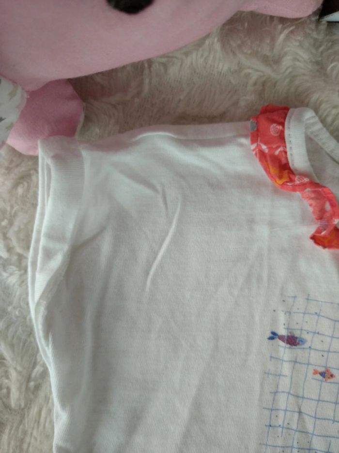 Tee shirt chemise manches courtes Fille 6 mois Poissons Sergent Major Naivonne 100% coton - photo numéro 3