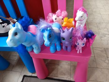 Lot poneys