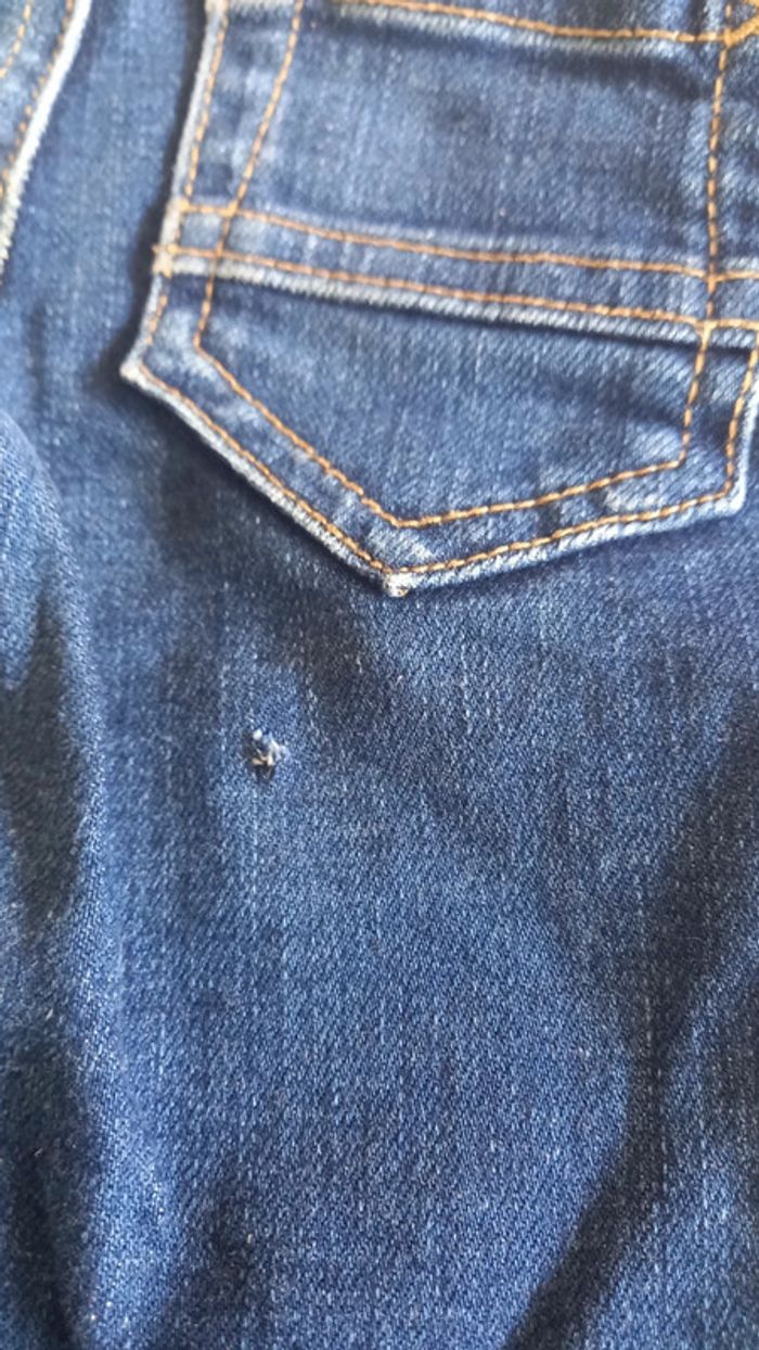 Bermuda 2 ans - photo numéro 3