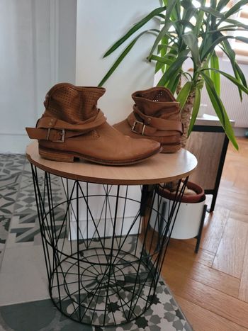 Boots Salamander
