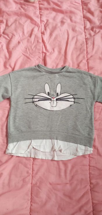 Pull Looney tunes Zara baby 3/4 ans