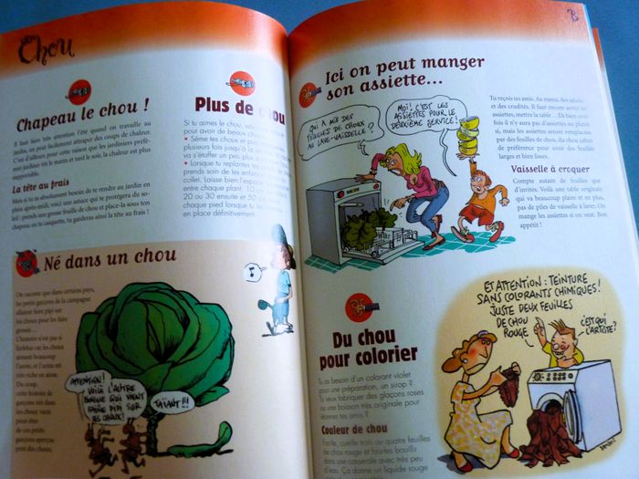 Livres recettes lot cuisine - jardin enfant glace larousse TBE - photo numéro 7