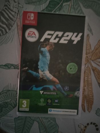 Jeu Switch