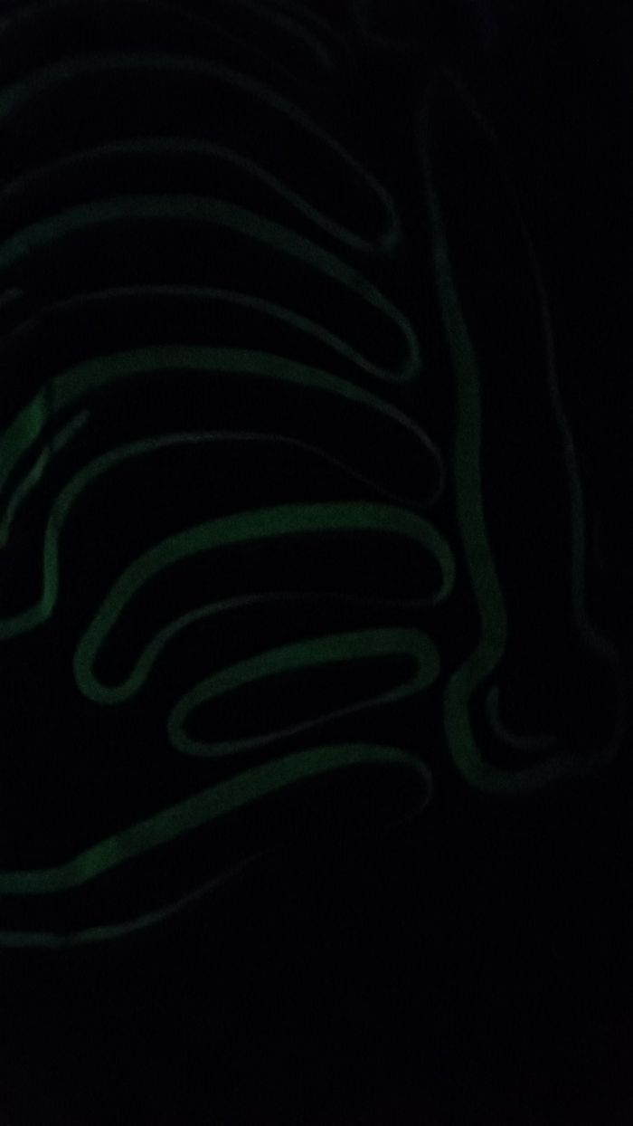 Déguisement squelette - photo numéro 3