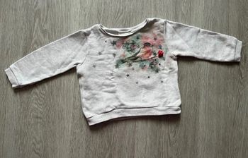 Sweat-shirt Zara fille 12-18 mois