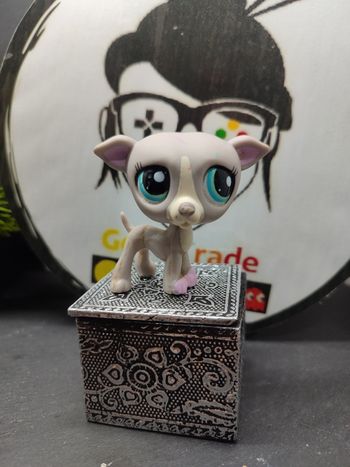 Lps1212 My Littlest Petshop Pet Shop LPS chien dog 1897 Levrier Greyhound Beaver