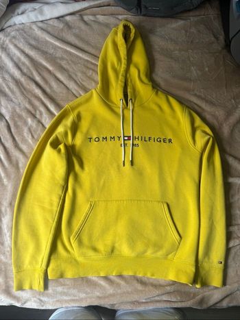 Pull à capuche Tommy Hilfigher