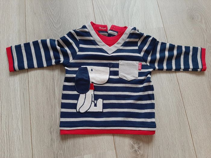 pull chien 3 mois
