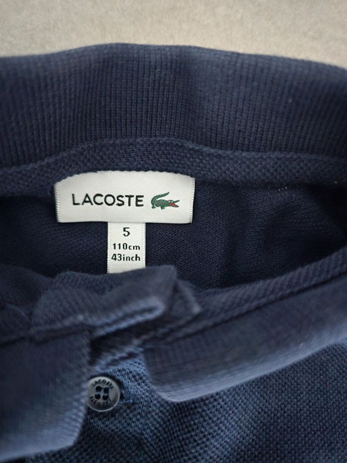Polo manches courtes lacoste - photo numéro 4
