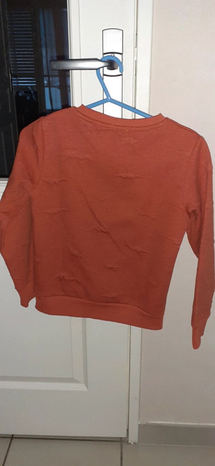 Pull motifs dinosaures - photo numéro 2