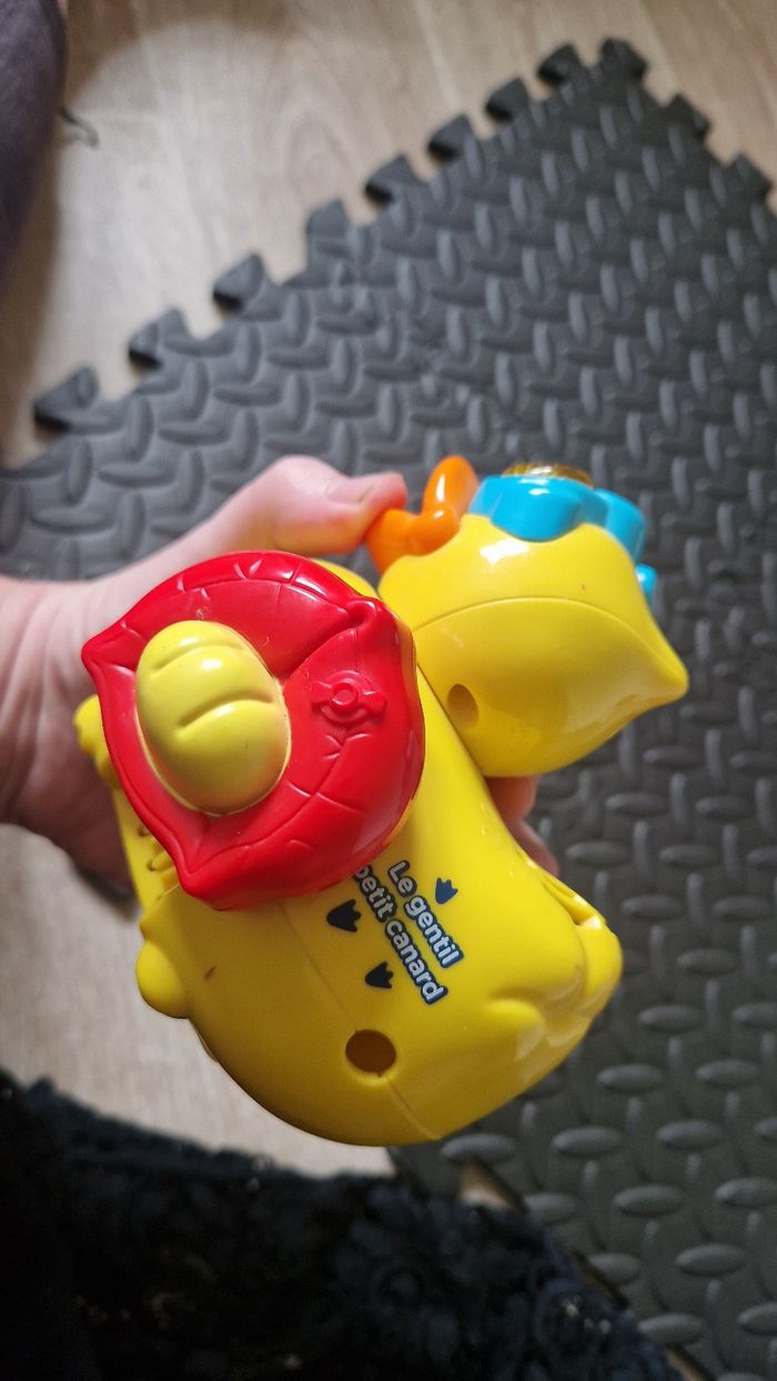 Canard de bain - photo numéro 2