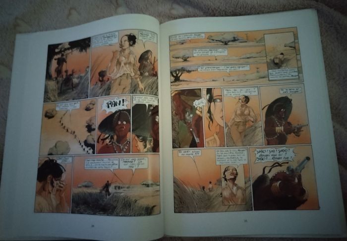 BD "Les Passagers du Vent" Bourgeon neuve - photo numéro 5