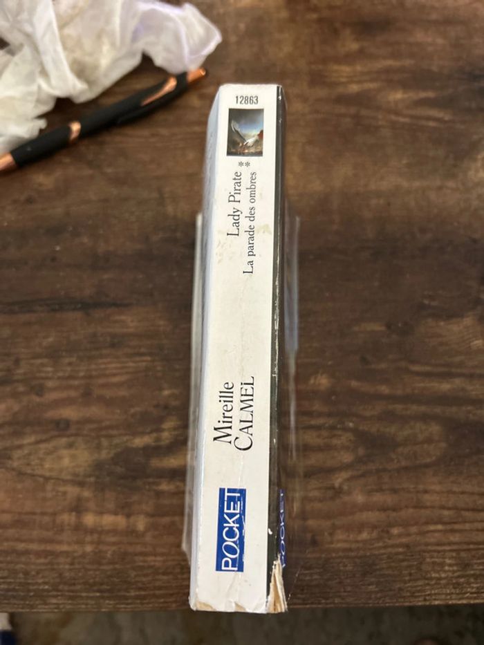 Lady pirate - photo numéro 3