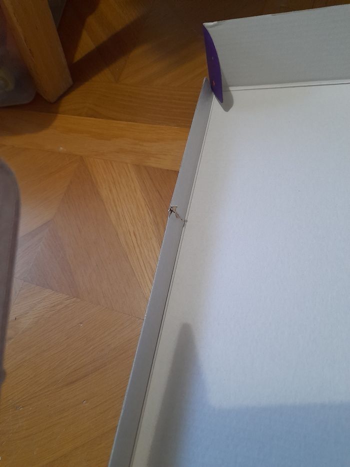 Mon loto des alphas - photo numéro 3