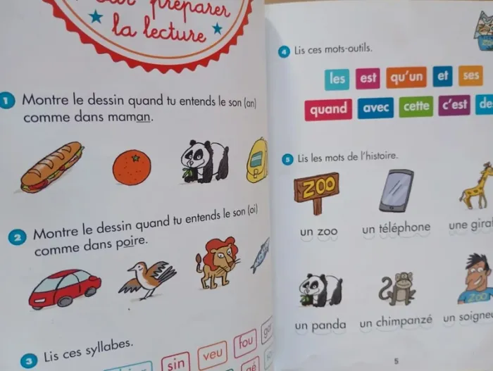 Sami et Julie : le zoo - CP Niveau 2 - photo numéro 3