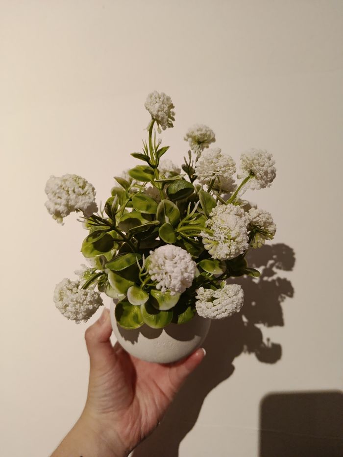 Fausse plante - photo numéro 2
