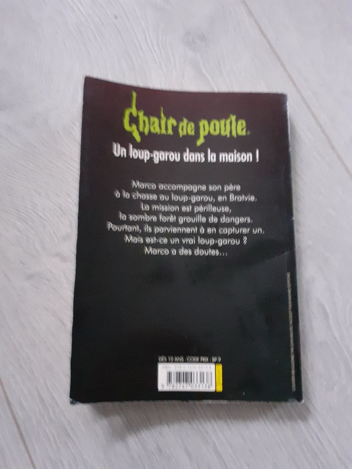Chair de poule un loup garou dans la nature - photo numéro 2