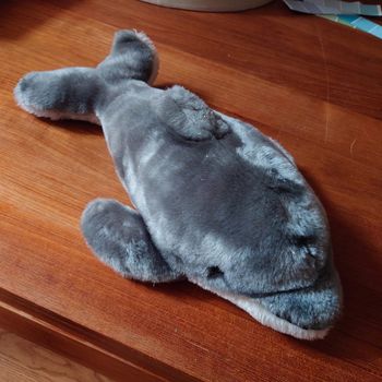Peluche Dauphin gris