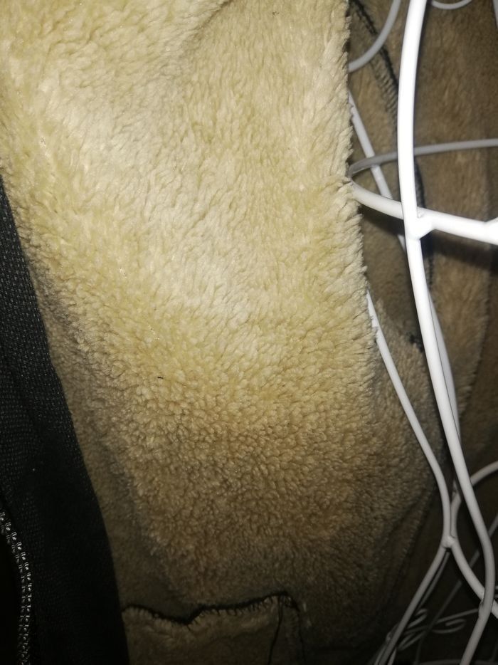 Veste 12 ans - photo numéro 3