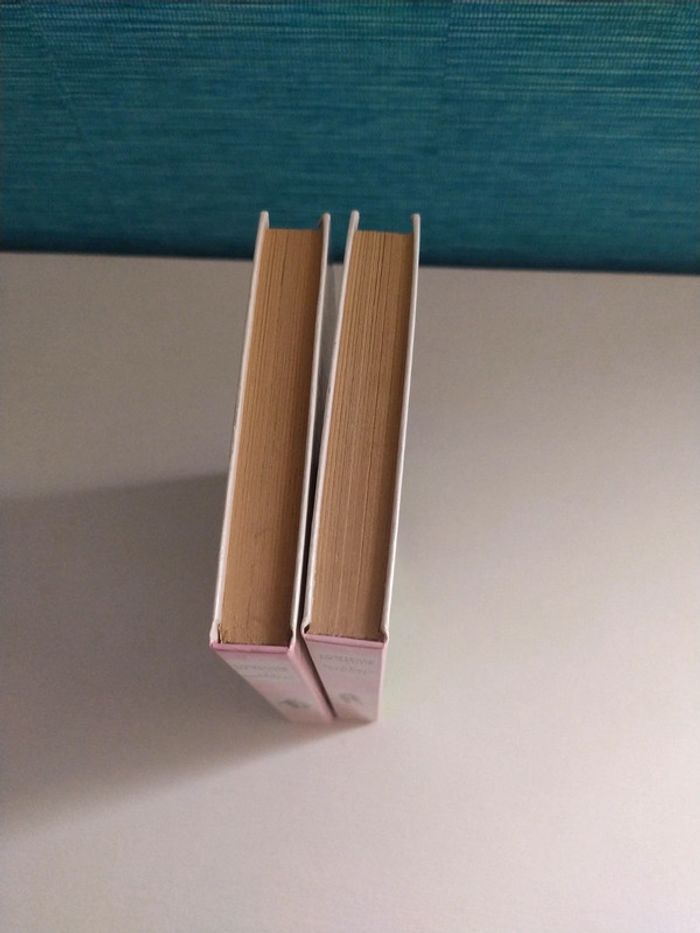 Lot de deux livres de la Comtesse de Ségur - photo numéro 5