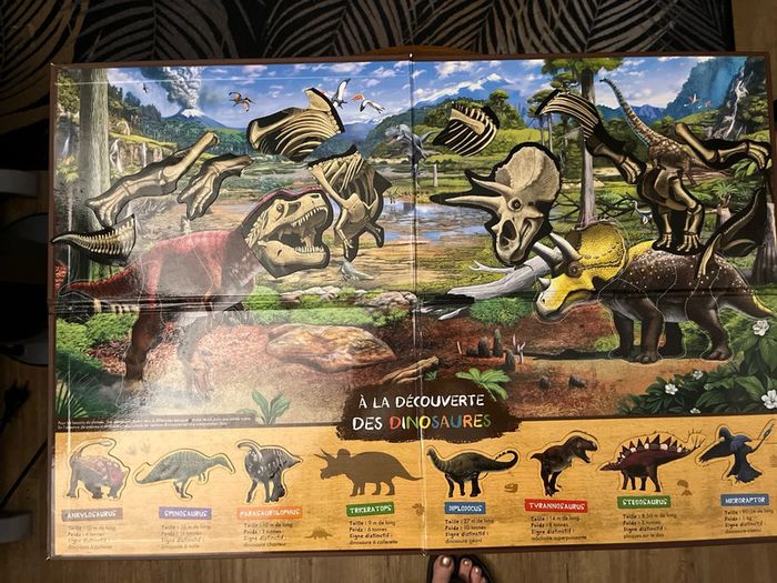 Lot 1 magazine et coffret Dinosaures - photo numéro 6