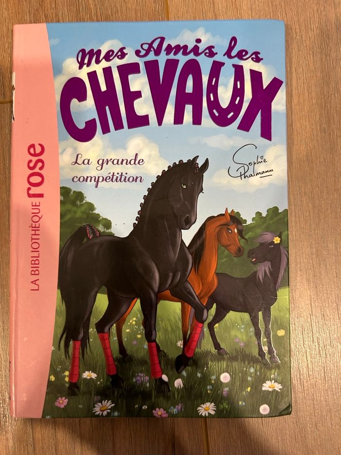 Mes amis les chevaux tome 2