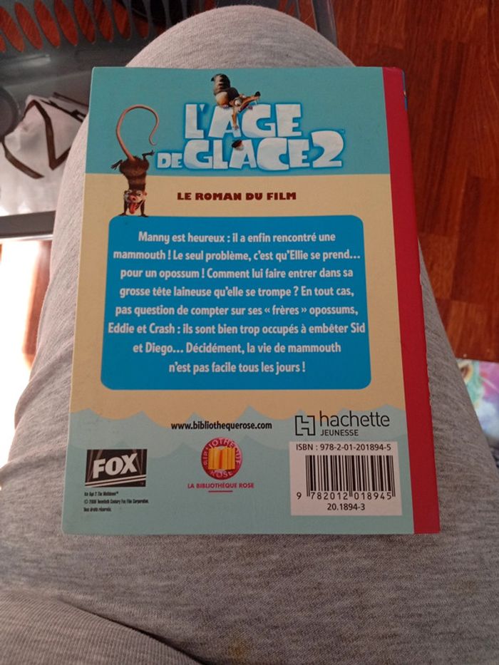 Lot de 4 livres jeunesse 8 ans - photo numéro 3