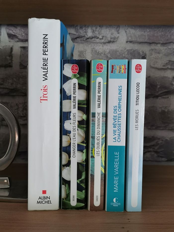 Valérie Perrin et Marie Vareille - photo numéro 3