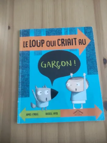 Livre le loup qui criait au garçon en bon état