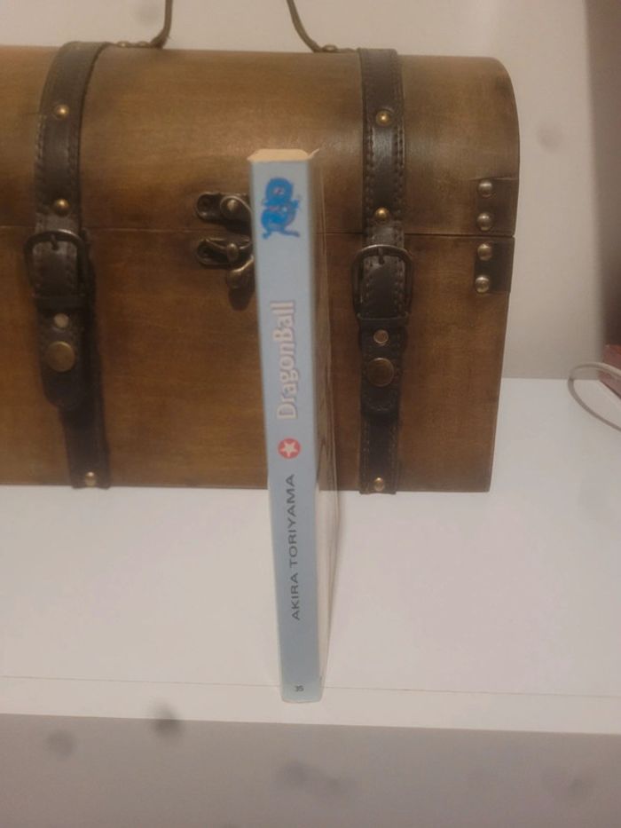 Manga Dragon Ball Pastel tome 35 - photo numéro 4