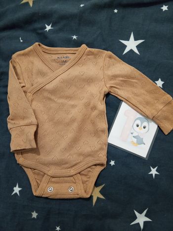 Bodie "marron" _ 1 mois
