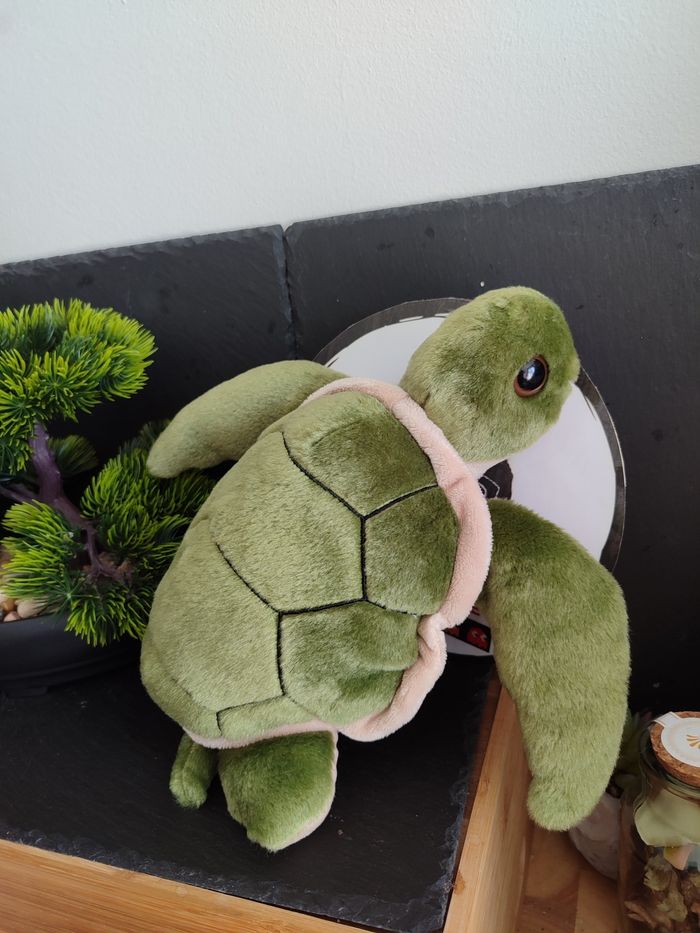 tortue de mer vert beige peluche marron petjes world zoo parc zoologique PE0232 - photo numéro 2