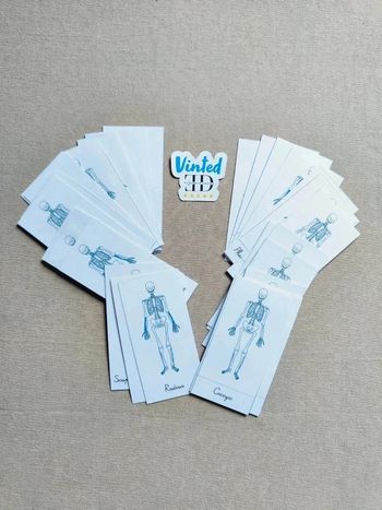 Cartes de nomenclature du squelette humain