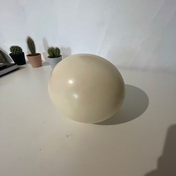 Œuf d’autruche