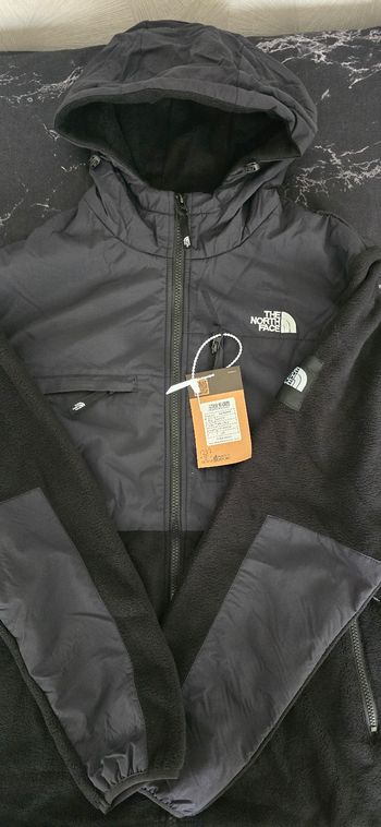 Polaire the north face
