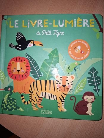 Album le livre-lumière de Petit tigre