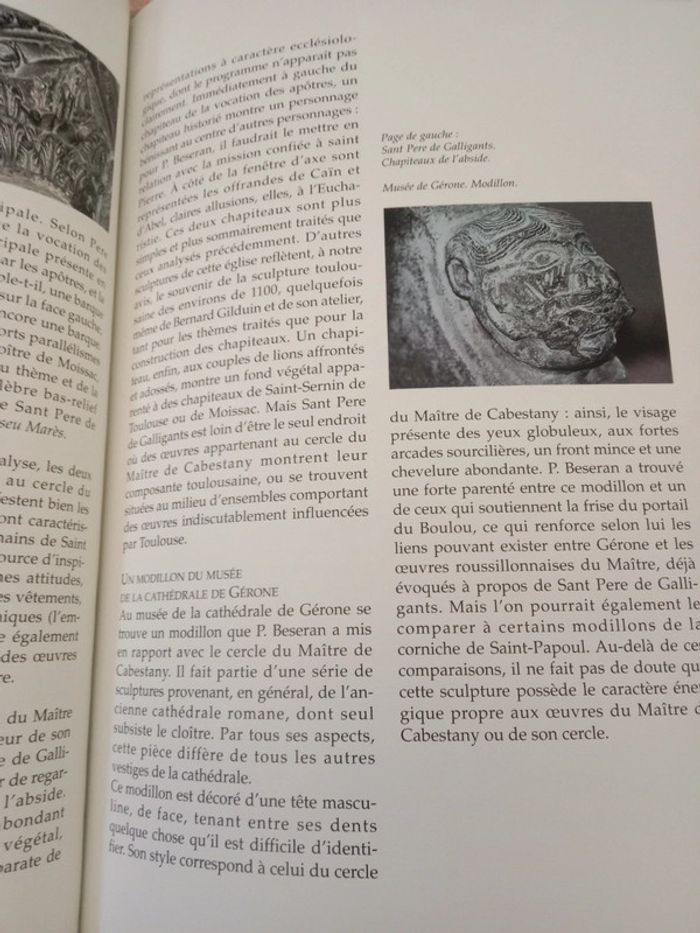 Le maitre de Cabestany 📚 - photo numéro 4