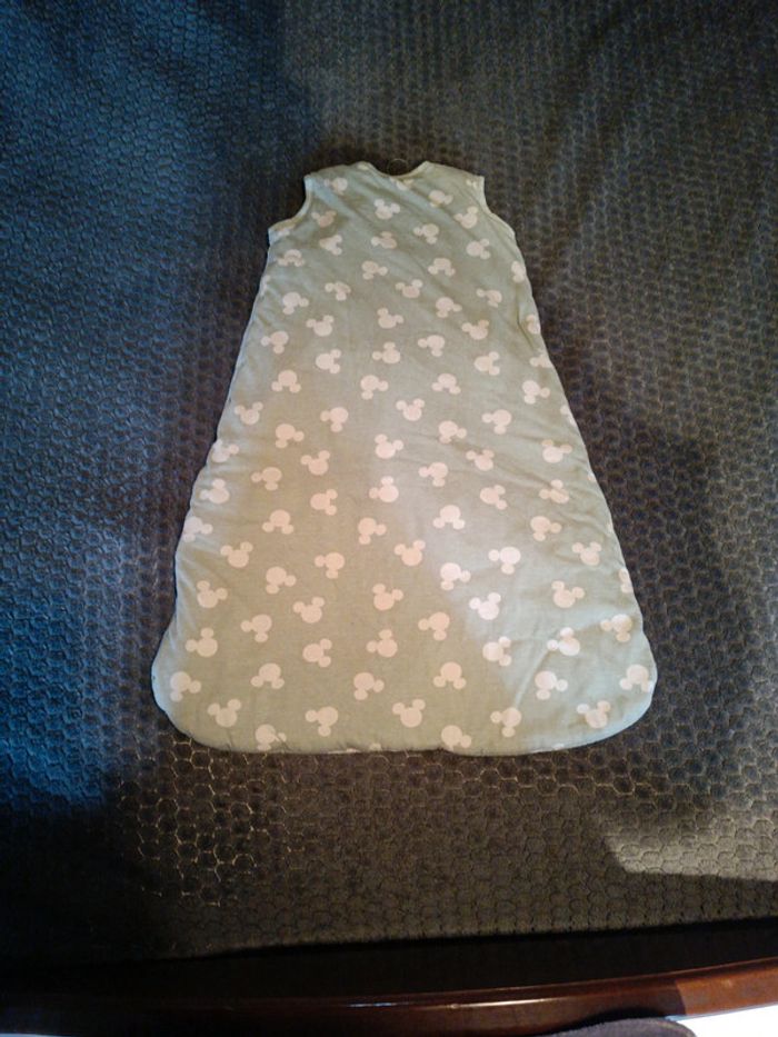 Gigoteuse Mickey - photo numéro 2