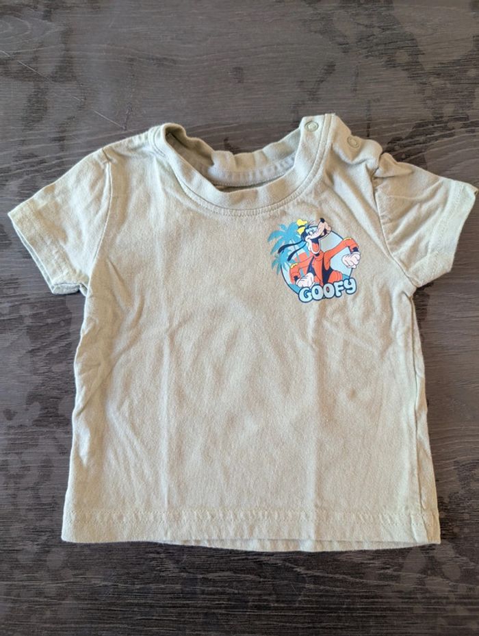 T-shirt manches courtes Dingo