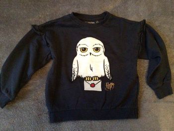 Pull fille Harry potter