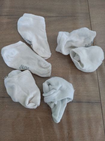 Chaussettes basses