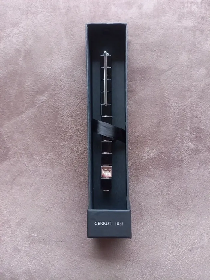 Magnifique Stylo Cerruti