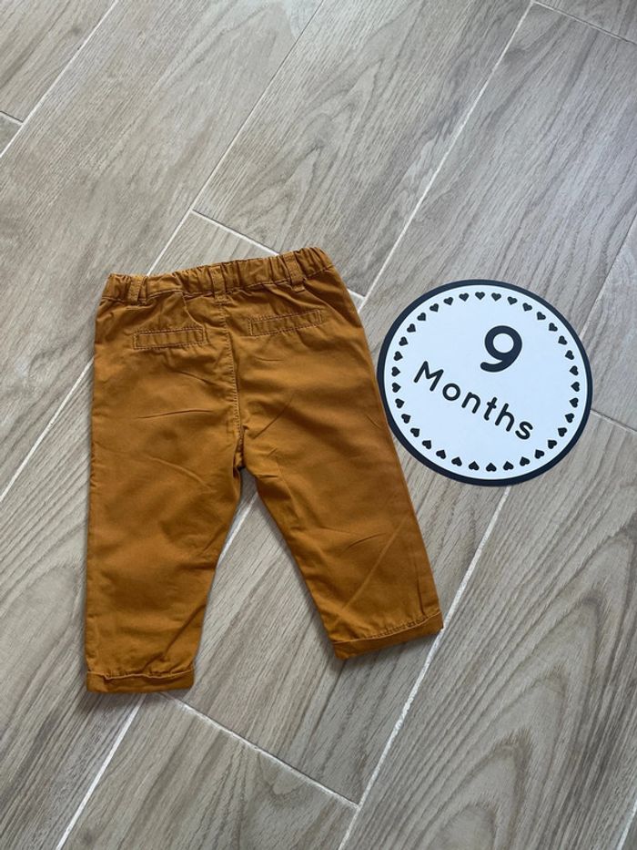 Chino 9 mois - photo numéro 2