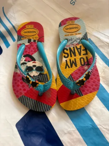 Tong Havaianas
