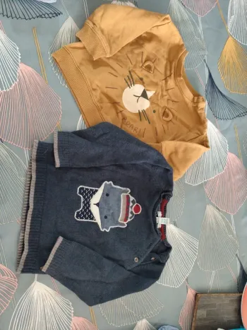 Lot pull 23 mois