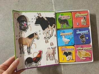 Magnifique coffret 6 mini livres la ferme