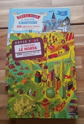 Lot de 2 livres défis fous