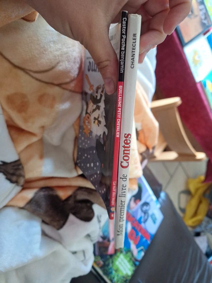 Lot 2 livre enfant - photo numéro 2